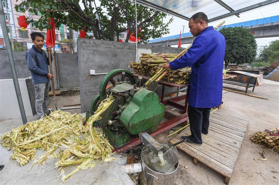 כך מייצרים סוכר חום מסורתי בכפר במזרח סין • צפו