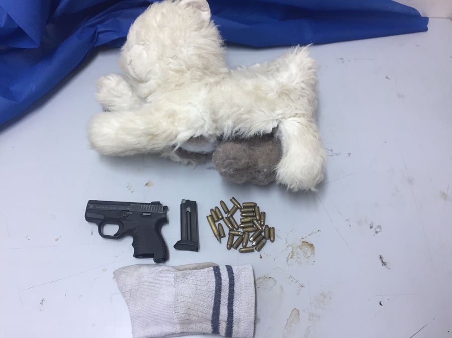 האקדח והכדורים הוחבאו בתוך בובת דובי