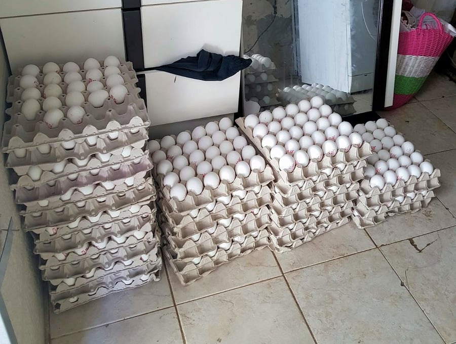 לוד: הוחרמו אלפי ביצים עם חותמת מזויפת