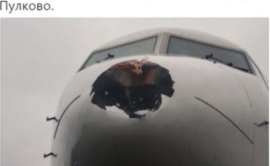 עוף דורס התנגש במטוס נוסעים רוסי וגרם לנזק אדיר