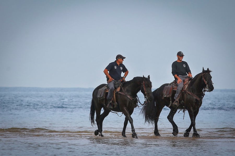 שוטרים ישראלים רוכבים על סוסים בחוף הים באשקלון