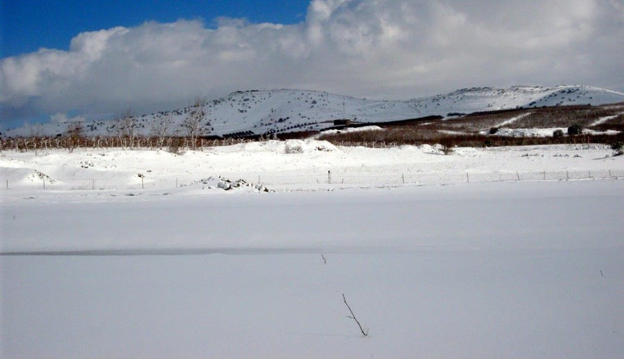 השלג ברמת הגולן והזרימות העזות בנחלי הצפון • צפו