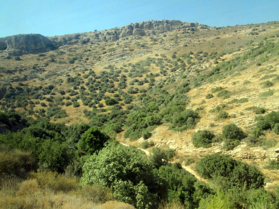 טיול דרך עדשת המצלמה להרי יהודה