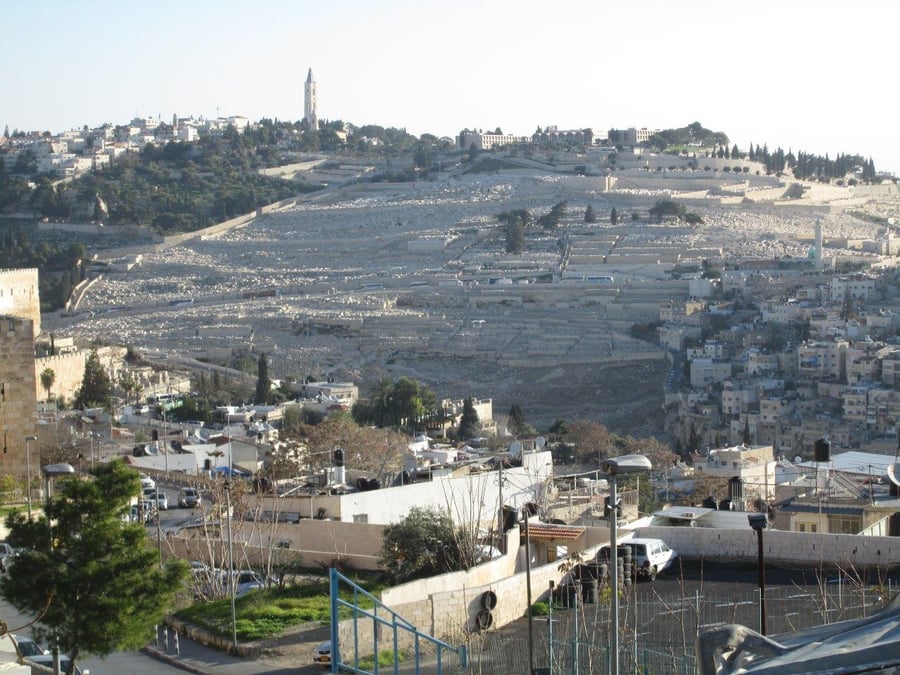 רגע לפני החג: טיול לנופיה של ירושלים
