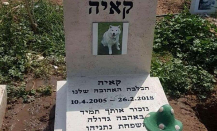 משפחת נתניהו הקימה מצבה על קבר הכלבה קאיה