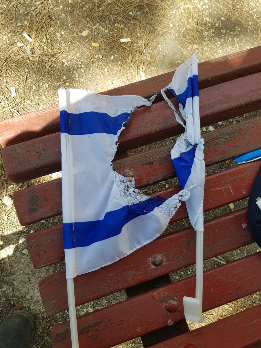 צעירים ערבים שרפו דגלי ישראל ונעצרו