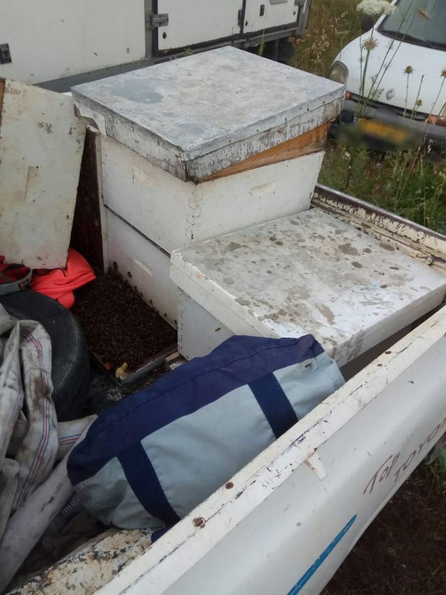 בלי מזל: גנבו כוורות דבורים, נעצרו ונתפסו