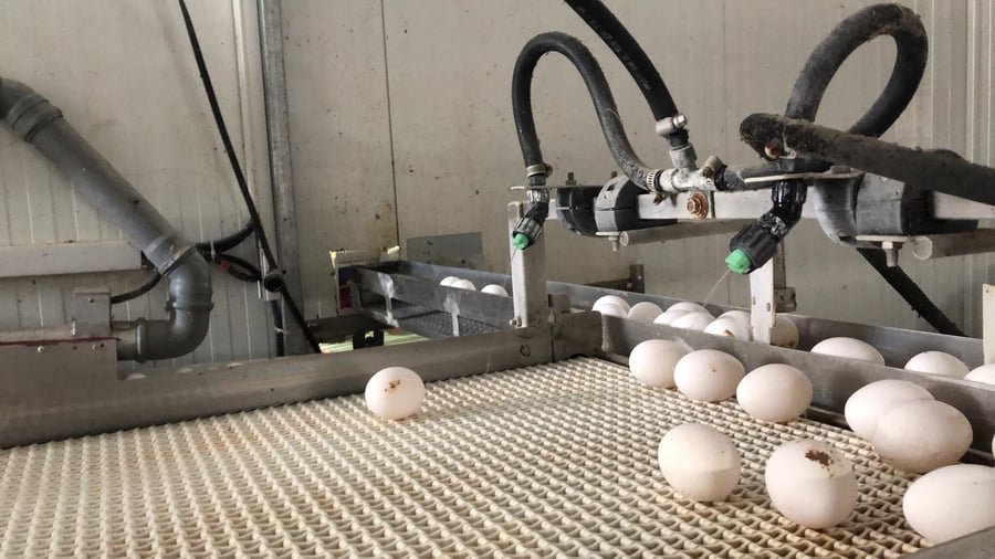 משרד החקלאות חשף מכונה לשטיפת ביצים