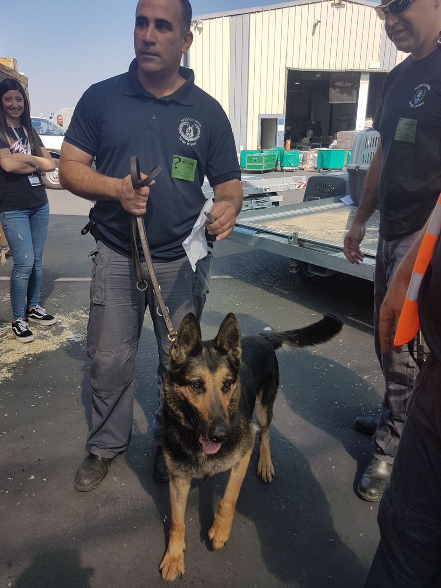 משטרת ישראל "גייסה" 17 כלבים מאולפים