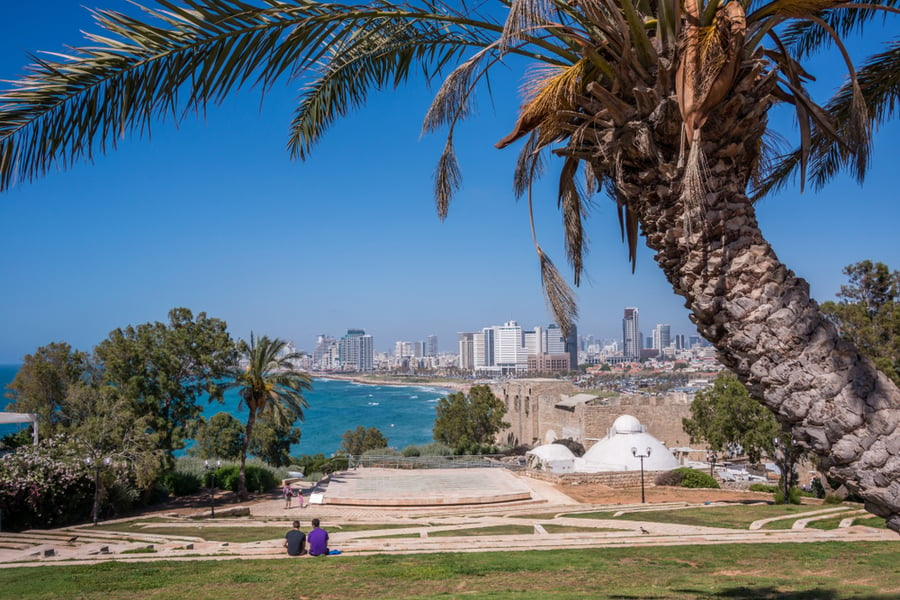 תל אביב מתצפית מיפו העתיקה