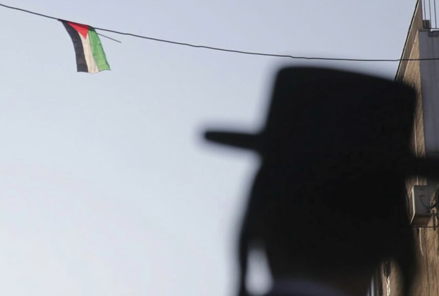 דגל פלסטין במא"ש, היום