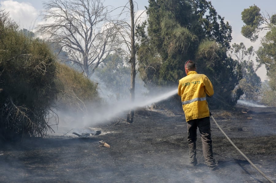 מחצית משטחי יערות בארי וכיסופים, נשרפו