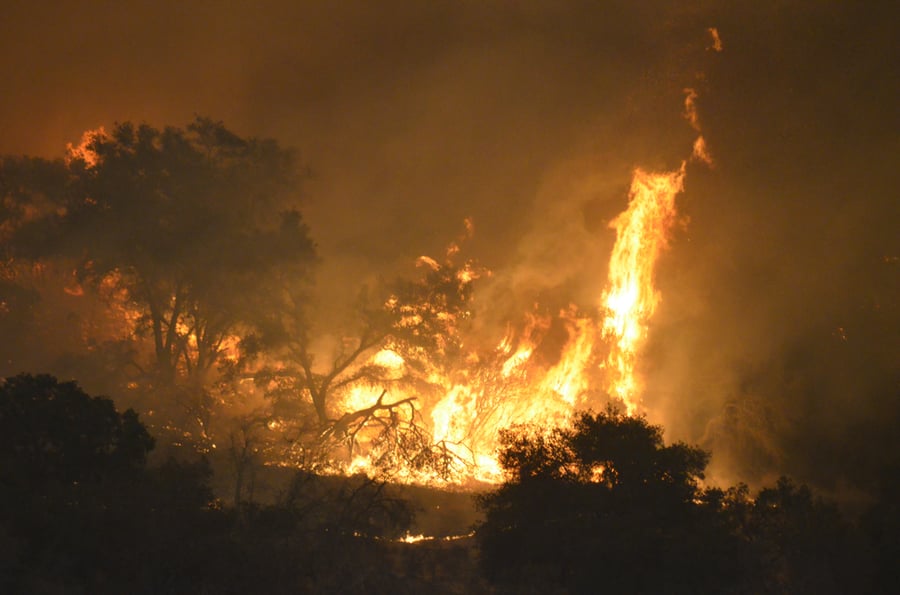 האש משתוללת ביערות קליפורניה