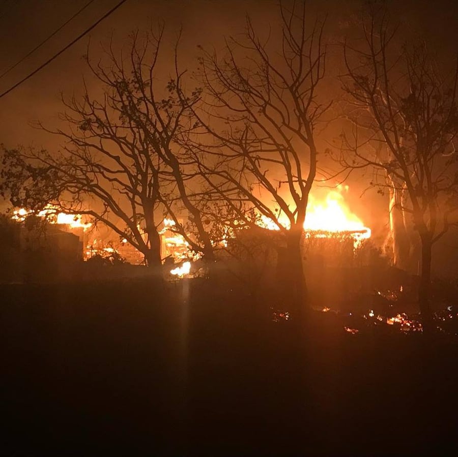 האש בקליפורניה: 29 הרוגים בלהבות הענק