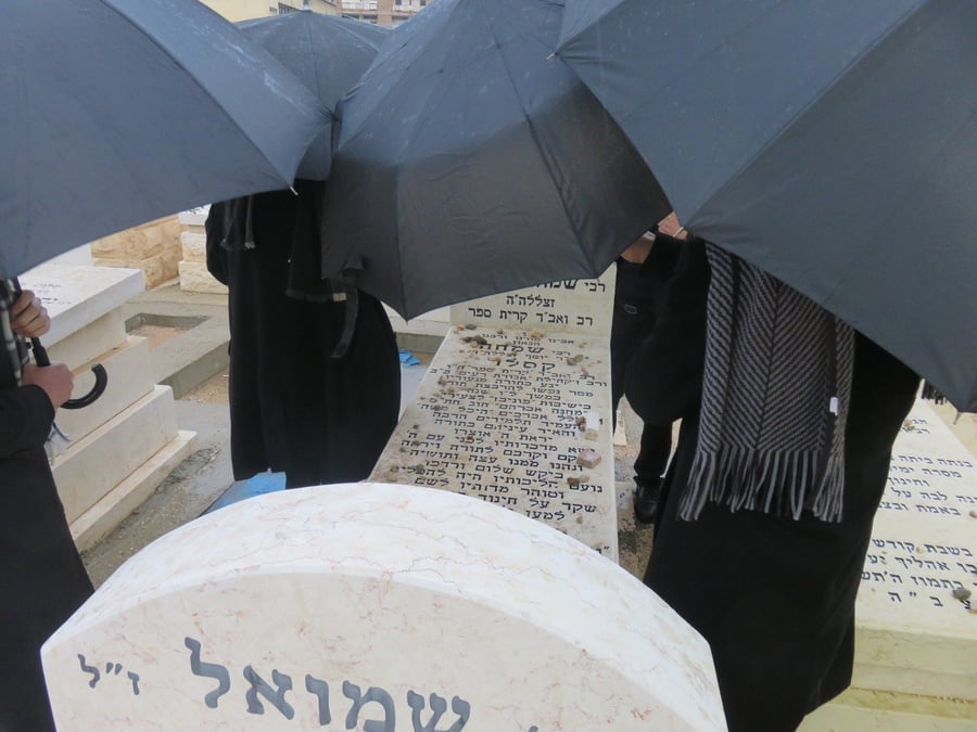 אנשי 'הפלג' במודיעין עילית התפללו על קבר אביו של רב העיר