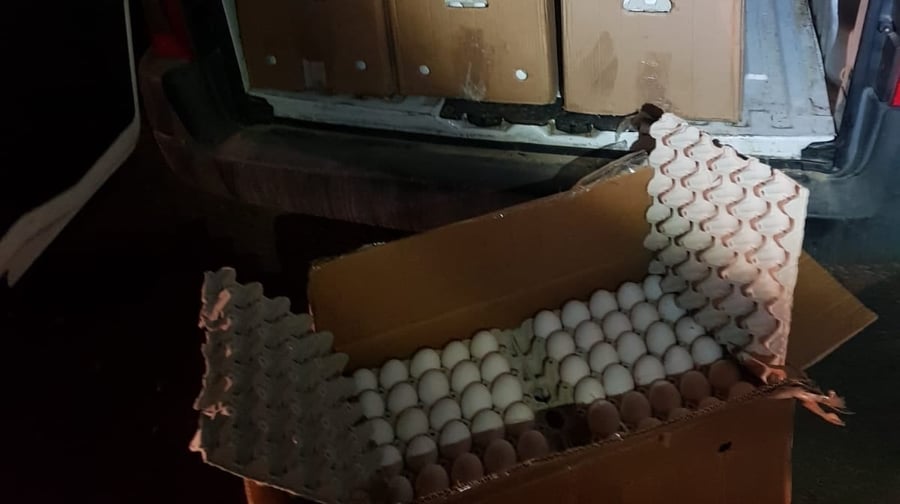 מודיעין: אלפי ביצים מוברחות נתפסו ברכב מסחרי