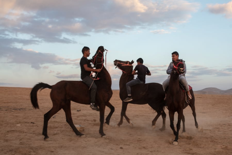 בדואים על סוסים במרחבי הנגב • גלריה