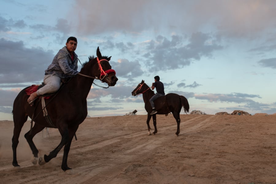 בדואים על סוסים במרחבי הנגב • גלריה