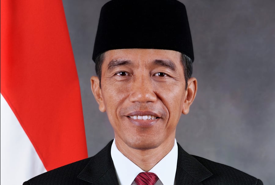 הנשיא האינדונזי, ג'וקו וידודו