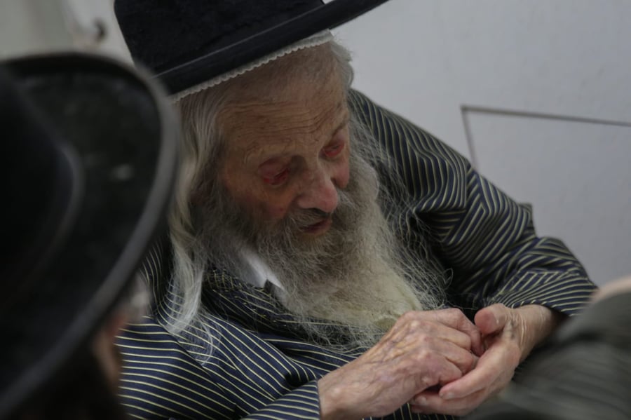 ניצחון הרוח: מציל היהודים בשואה שקוע בלימוד