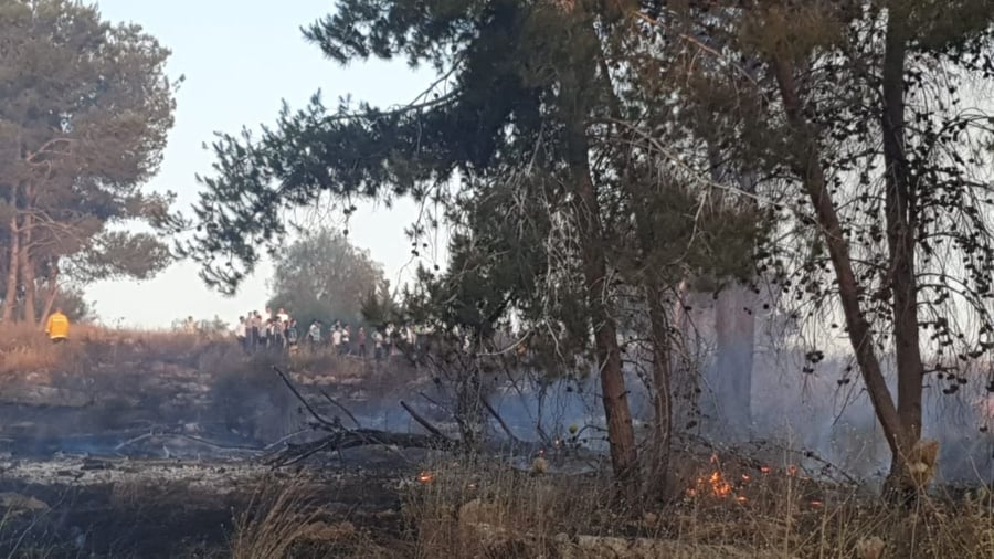 "ילדים הציתו"; שוב: שריפה ליד  העיר אלעד