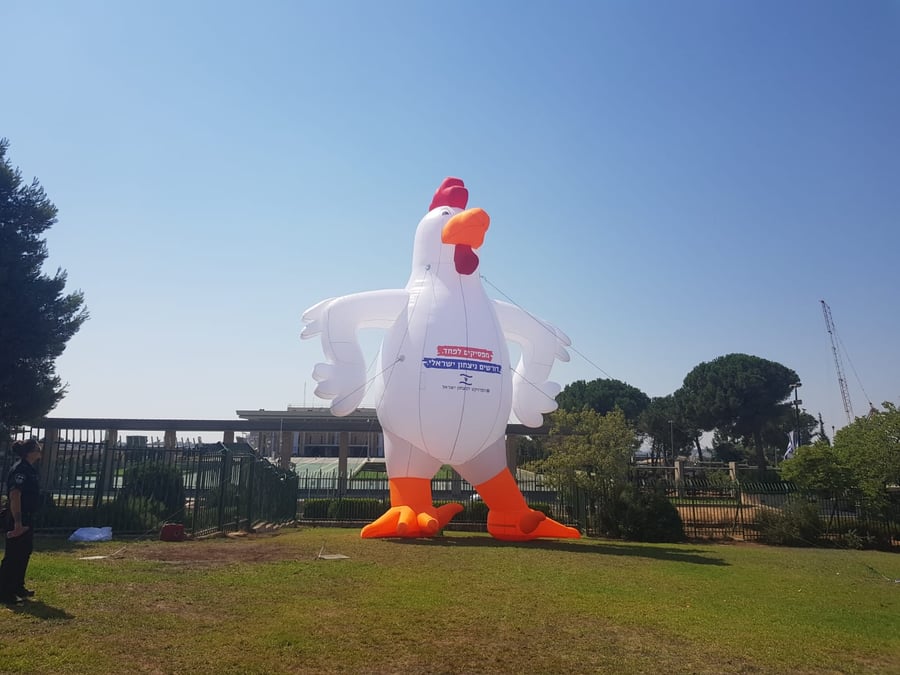 מול הכנסת: תרנגולת בגובה עשרה מטרים