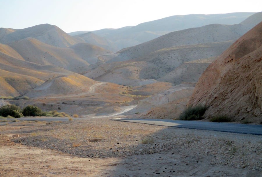 טיול למדבר יהודה דרך עדשת המצלמה