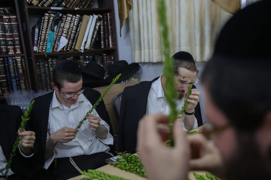 בלי בלעטל: בירושלים נערכים לחג הסוכות