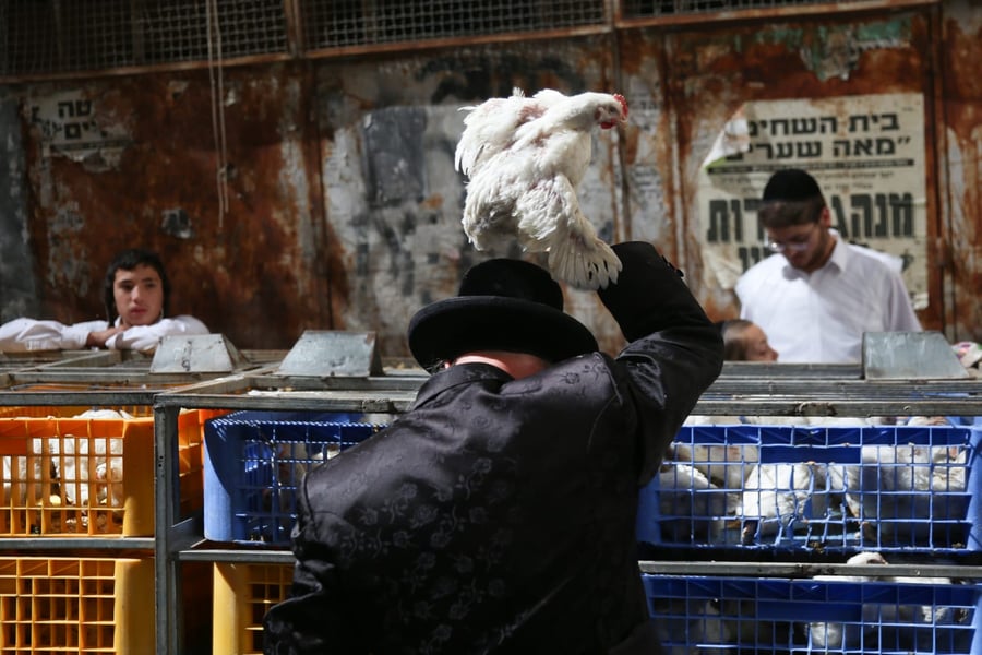 צפו: הירושלמים ערכו 'כפרות' על תרנגולים