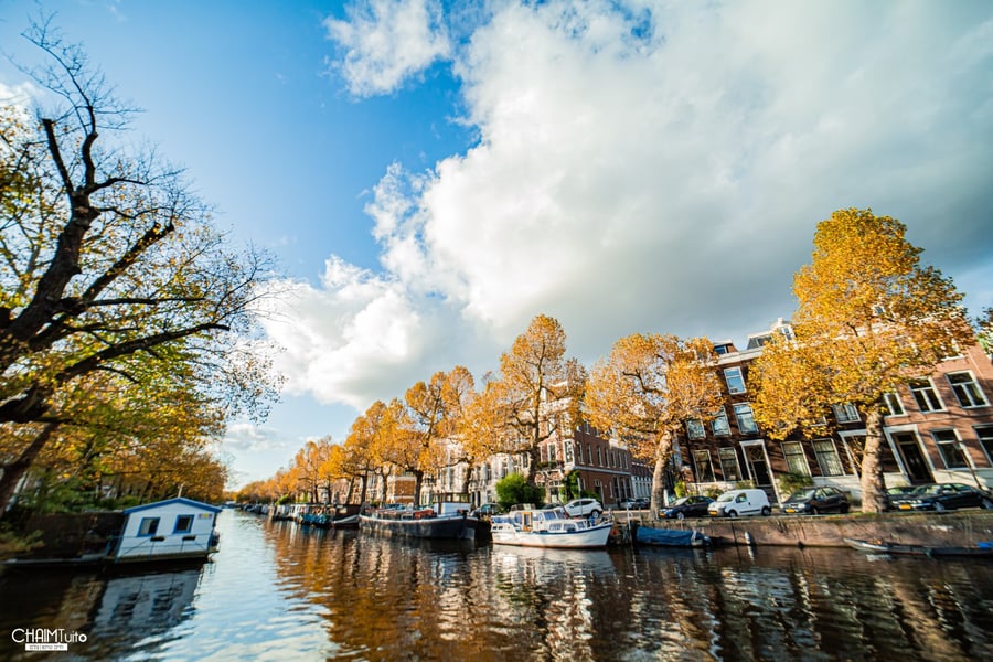 לא רק טחנות רוח: תיעוד מרהיב מאמסטרדם