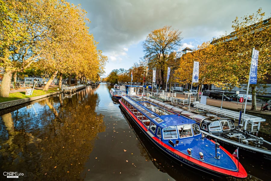 לא רק טחנות רוח: תיעוד מרהיב מאמסטרדם