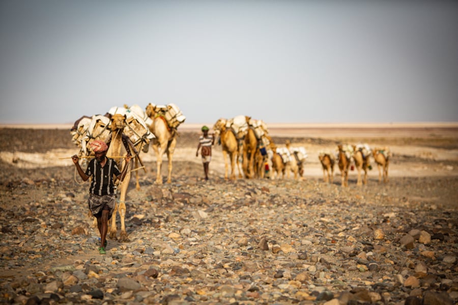 מסע אל הנופים המרהיבים של אתיופיה