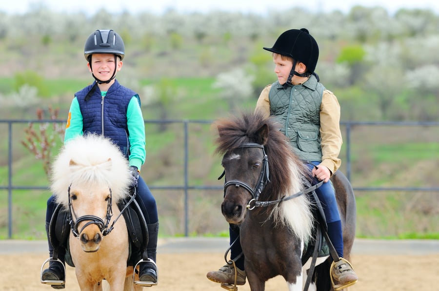 מחקר: רכיבה על סוסים משפרת את האינטליגנציה של ילדים
