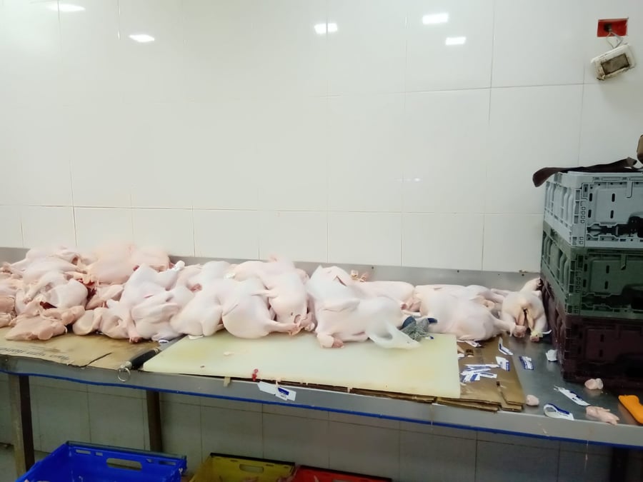 המשטרה תפסה כ-4 טונות של בשר שלא ראוי למאכל