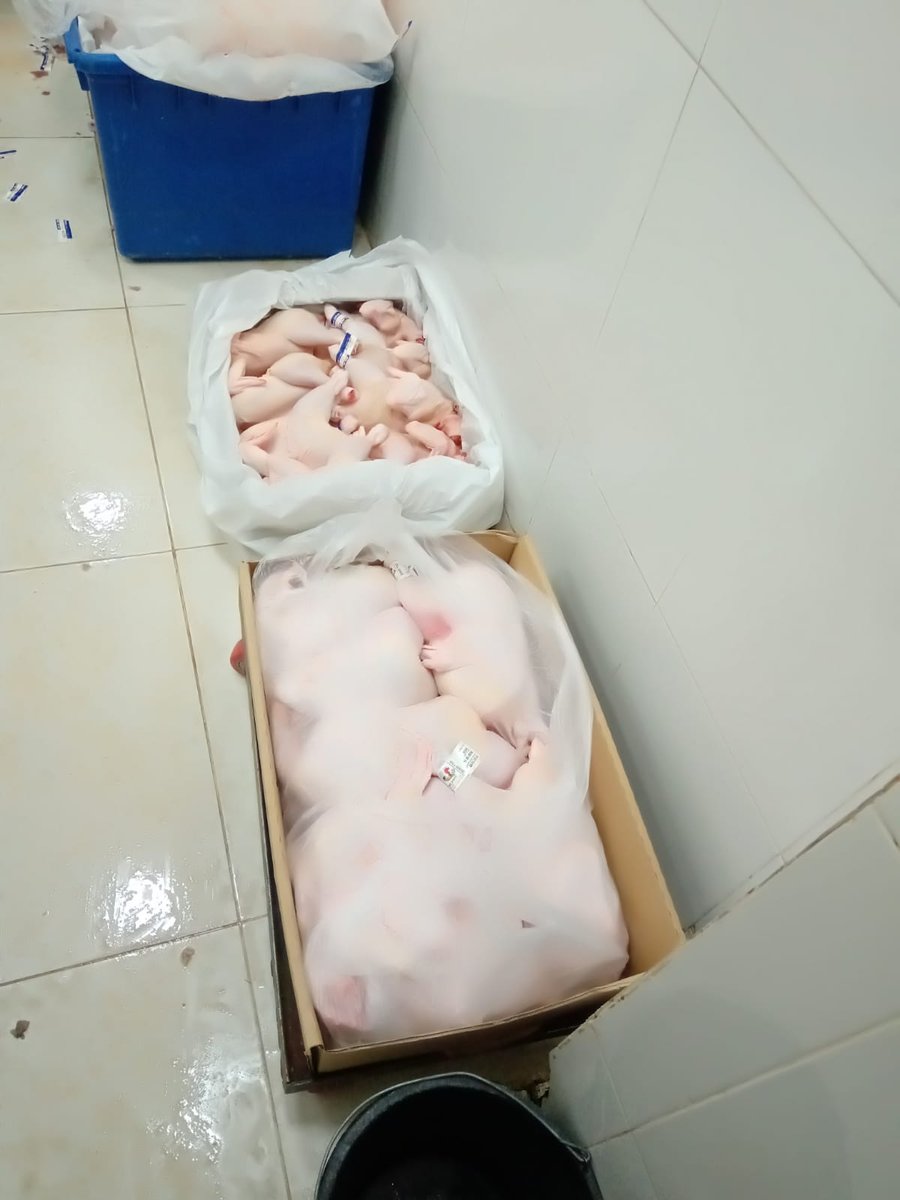 המשטרה תפסה כ-4 טונות של בשר שלא ראוי למאכל