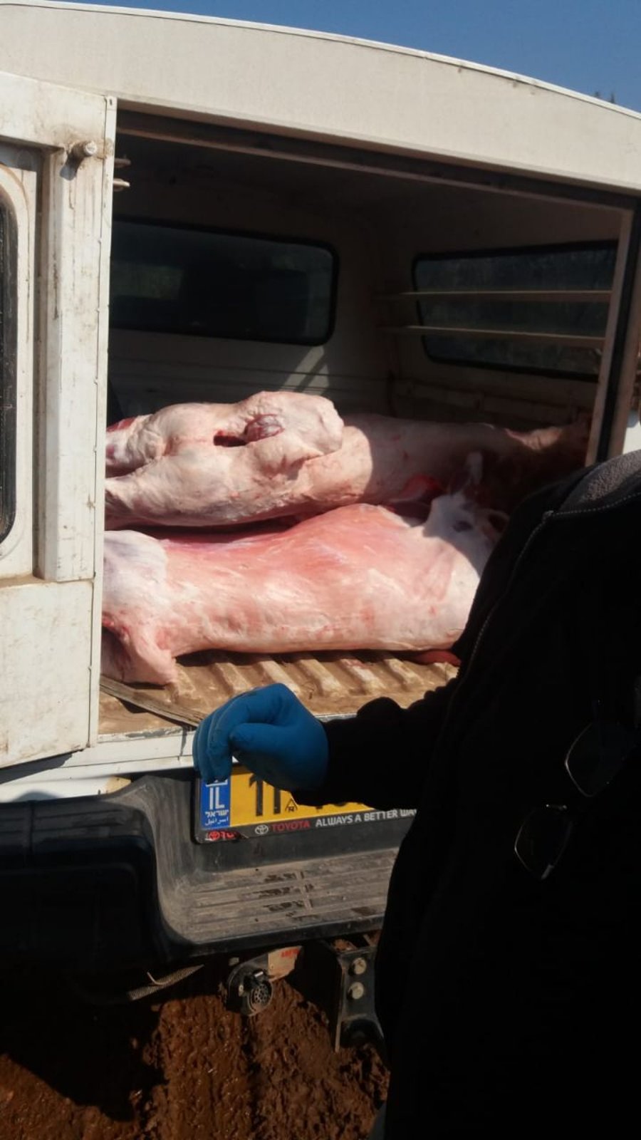 בכפר הערבי: נחשפה משחטת בשר פיראטית