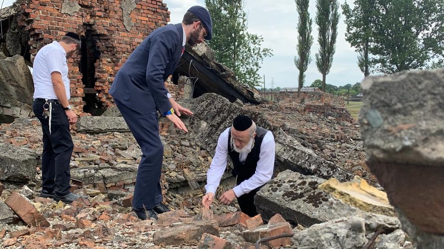 מזעזע: עצמות יהודים שנרצחו באושוויץ צפות אחרי הגשם