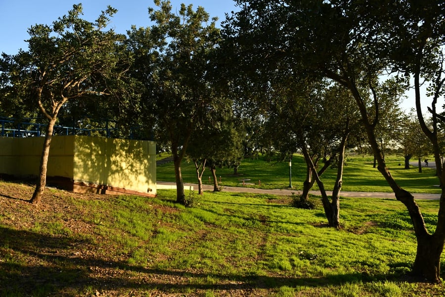 גלריית חורף מפארק מנחם בגין בתל אביב