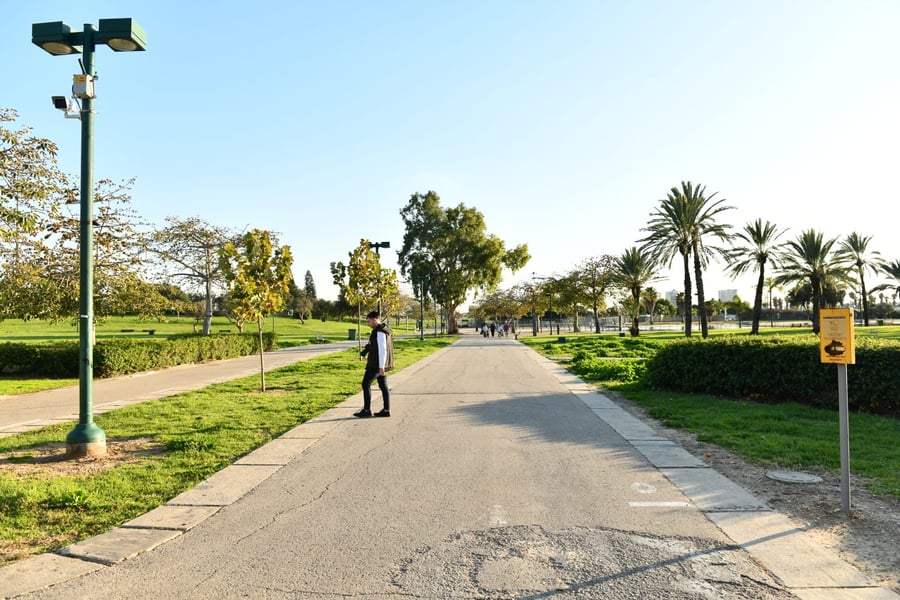 גלריית חורף מפארק מנחם בגין בתל אביב