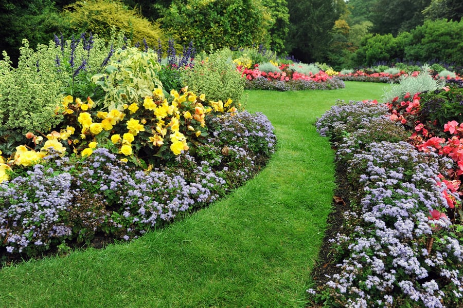למה כדאי דווקא באביב להפוך את הגינה לגן עדן? מדריך לשימור ועיצוב הגינה