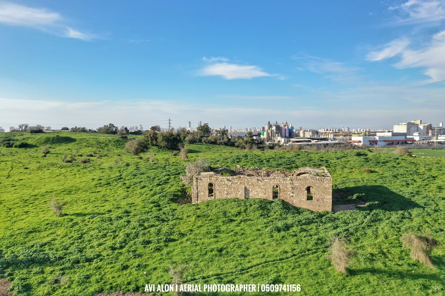 צפו: העיר הפלישתית העתיקה מכוסה ירוק