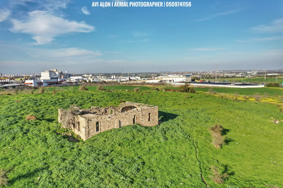 צפו: העיר הפלישתית העתיקה מכוסה ירוק