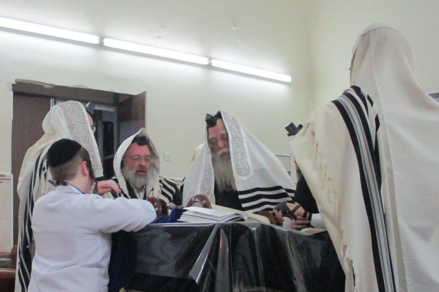 פורים - בחצר הקודש 'שאץ ויז'ניץ' שבחיפה