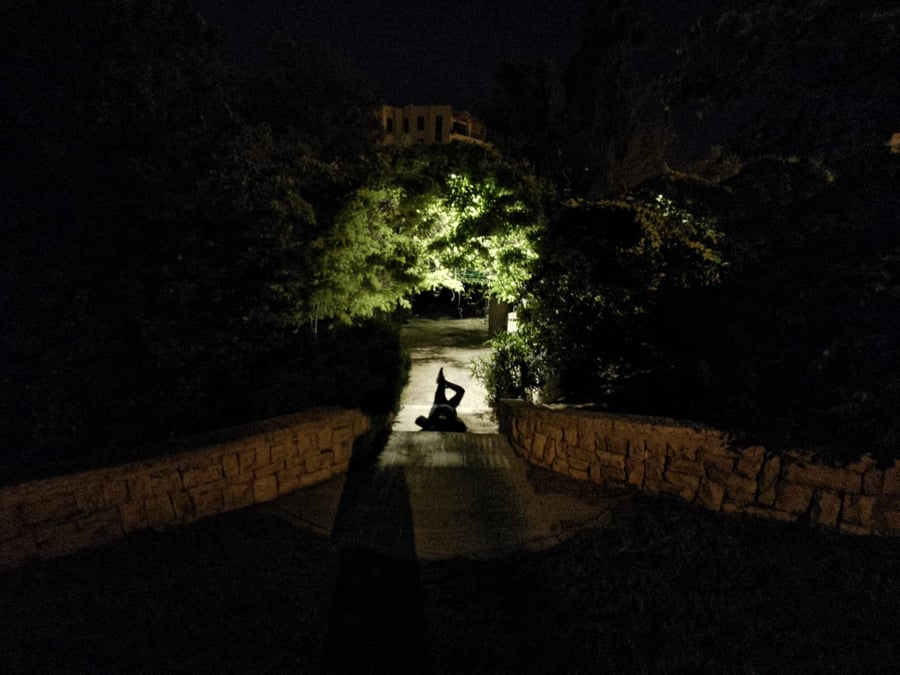 טיול ב'גן הפעמון' באמצע הלילה • גלריה
