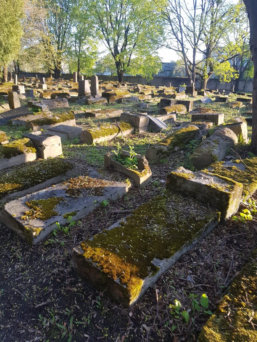 מזעזע: הרס וחורבן בבית הקברות החשוב בליטא