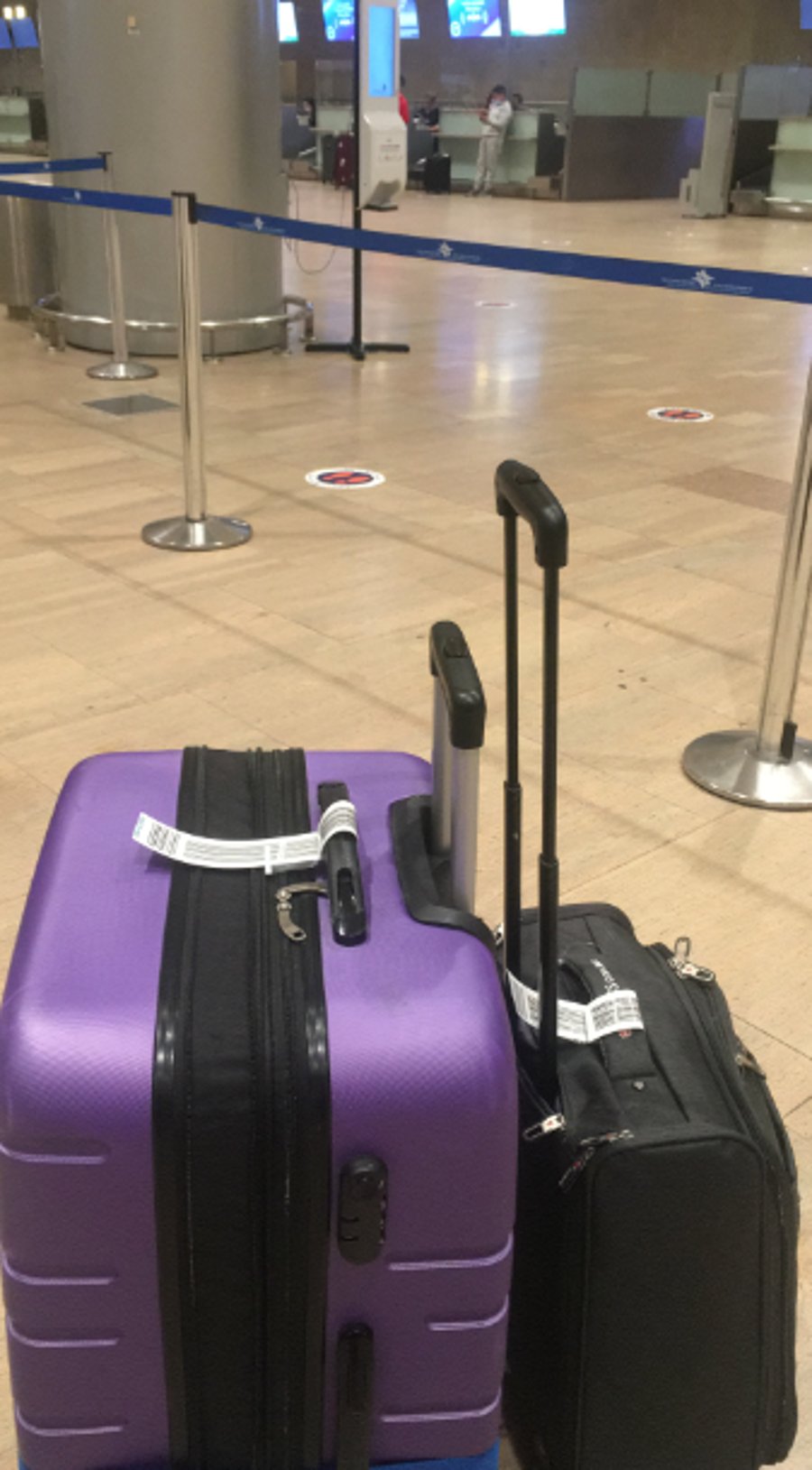 המזוודה הסגולה.