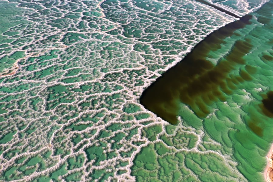 תיעוד מרהיב ביופיו: גבישי המלח בים המוות