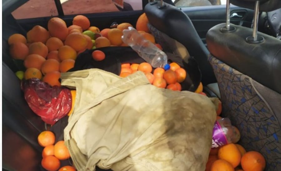 בשטח החקלאי: נתפסו חשודים בגניבת ירקות ופירות