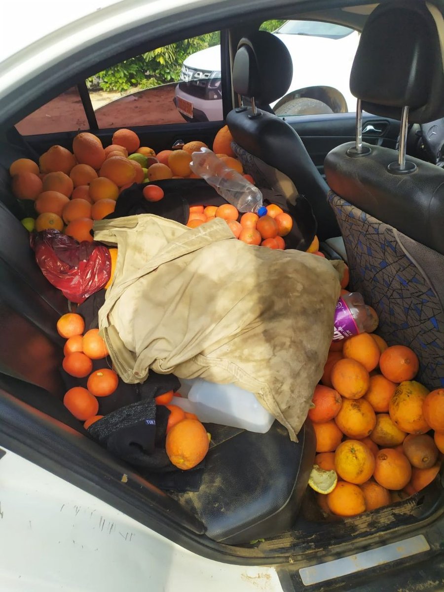 בשטח החקלאי: נתפסו חשודים בגניבת ירקות ופירות