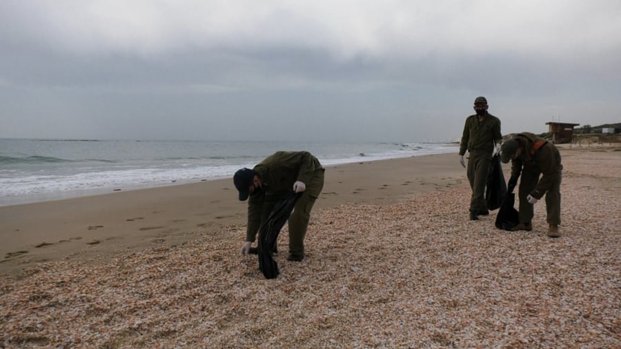חיילים מסייעים אתמול בניקוי החופים מהזפת
